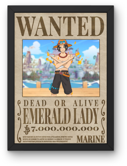 Wanted Poster One Piece Style